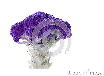 Purple Cauliflower Isolated Stock Photo