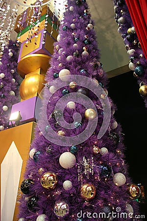 A Purple Christmas Tree! Stock Photo