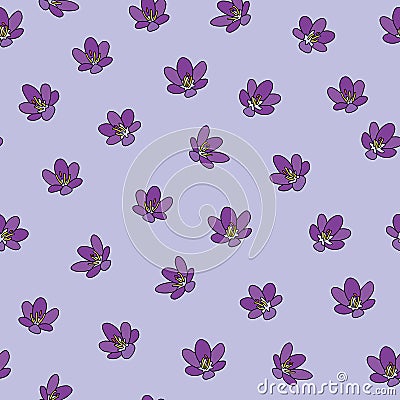 Purple crocus seamless pattern on blue background. Vector Illustration