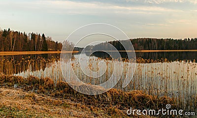 Purple dawn sunrise with mirror images in the lake, dry reeds in the foreground Stock Photo