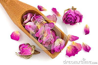 Purple dried petals of rose Stock Photo