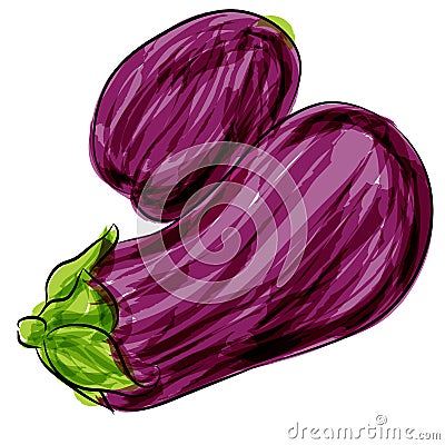 Purple Eggplant Vector Illustration
