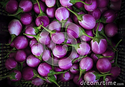 Purple eggplant violet king Stock Photo