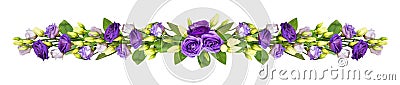 Purple eustoma flowers in a line composition Stock Photo