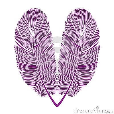 Purple Feather Heart Isolated Design on White Vector Illustration