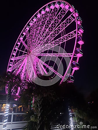 Purple Ferris wheel Stock Photo