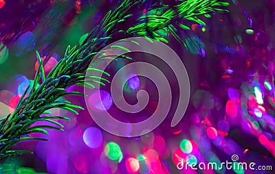 Purple festive Christmas blurred background with green Christmas tree twig, bokeh and soft focus Stock Photo