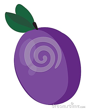 Purple flat prune, illustration, vector Vector Illustration