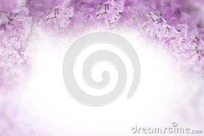 Purple flower Bougainvillea frame on soft pink background valentine and wedding card concept Stock Photo