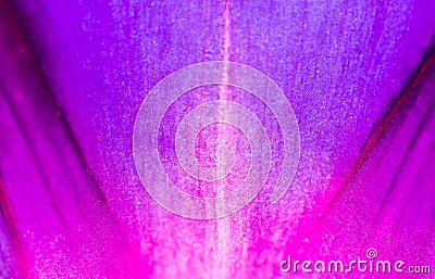 Purple flower. close Stock Photo