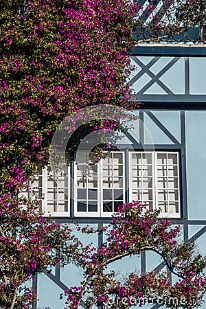 Purple flower ornamented window of a blue house Stock Photo