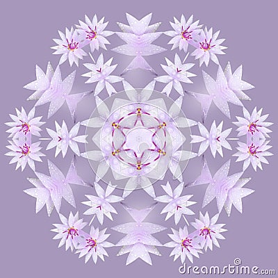 Purple flowers in mandala Stock Photo