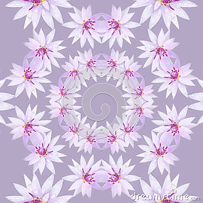 Purple flowers in mandala Stock Photo