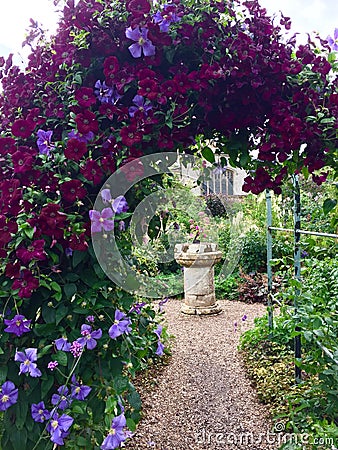 Purple flowers round a curved frame Stock Photo