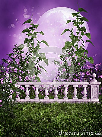 Purple garden with a fence Stock Photo