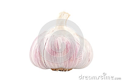 Purple Garlic Stock Photo