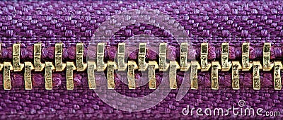 Purple and gold zipper tightly closed binding together two layers of fabric textile under high magnification close detail Stock Photo