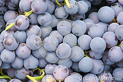 Purple grape Stock Photo