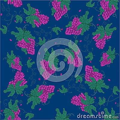 Purple Grapes Illustration - Bunch of purple grapes with stem and leaf on green background Vector Illustration