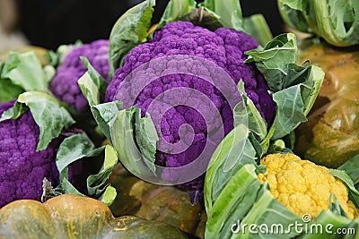 Purple, Green, Orange Cauliflower at the farmers market Stock Photo