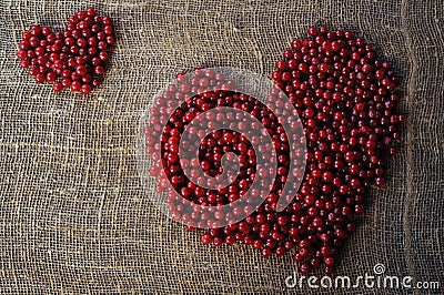 Purple heart of red currant berries collected on an organically clean rural Stock Photo