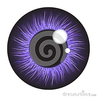 Purple iris eye realistic vector set design isolated on white Vector Illustration