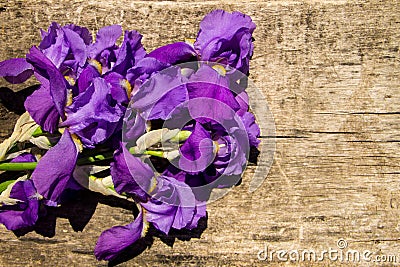 Purple iris flowers on wooden background Stock Photo