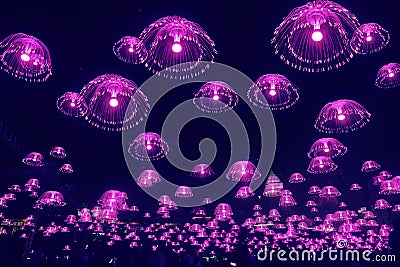 Purple jellyfish lights shine in the night sky Stock Photo