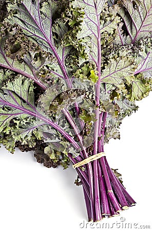 Purple Kale Stock Photo