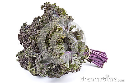 Purple Kale Stock Photo