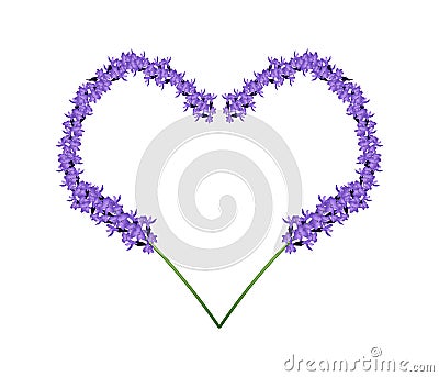 Purple Lavender Flowers in Heart Shape Frame Vector Illustration