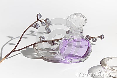 Purple lavender smell perfume cosmetic beauty glass mockup bottle with dried flower flora on white background Stock Photo