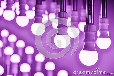 Purple led Lamp bulbs Stock Photo