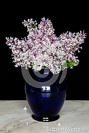 Purple lilac flower bouquet in glass vase against black background. Mothers Day or Valentines Concept.Also used for Funeral Stock Photo