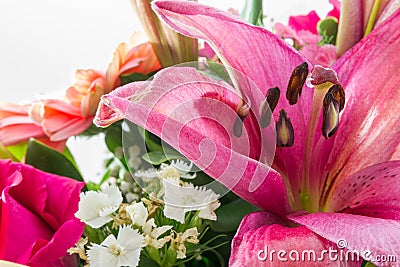 Purple Lilly extreme close-up in a flower bouquet Stock Photo