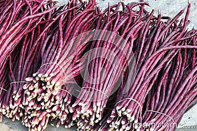 Purple long bean Stock Photo