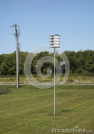 Purple Martin Birdhouses Stock Photo