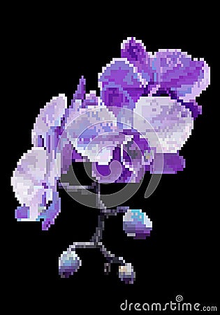 Purple meadow flowers pixel art Vector Illustration