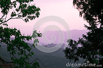 Purple mountains shot through trees Stock Photo