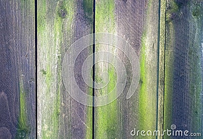 Purple old rusted wood Stock Photo