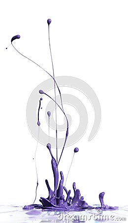 Purple paint splashing Stock Photo