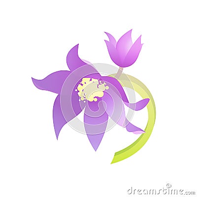 Purple Pasque Flowers Vector Illustration