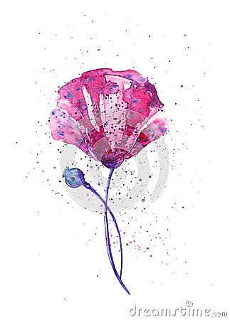 Purple poppy surrounded by colored drops. Abstract watercolor illustration isolated on white Cartoon Illustration