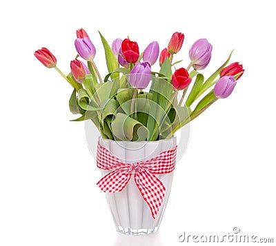 Purple and red tulips Stock Photo