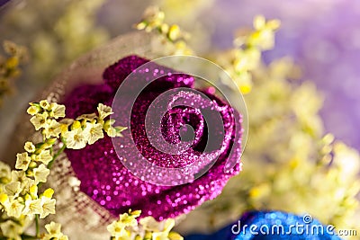 Purple Rose Stock Photo