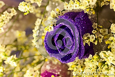 Purple Rose Stock Photo