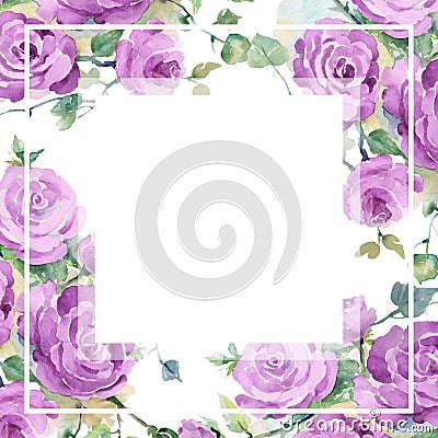 Purple rose bouquet floral botanical flowers. Watercolor background illustration set. Frame border ornament square. Cartoon Illustration