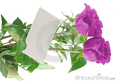 Purple roses with blank love note Stock Photo