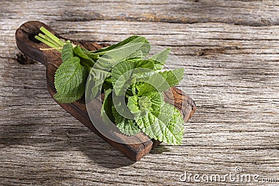 Purple sage plant on the table Stock Photo