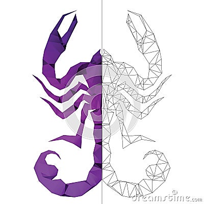 Purple Scorpion Stock Photo